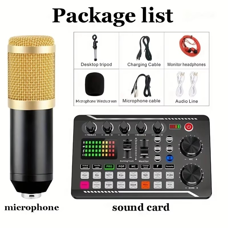 Audio Music Changer - Microfono a condensatore professionale, mixer audio